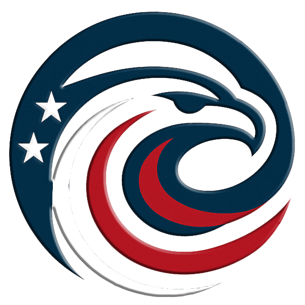 Veterans Digital Agility logo featuring a stylized patriotic eagle with red and navy elements representing strength, precision, and digital performance.